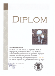 Pilzwanderungen sachsen leipzig