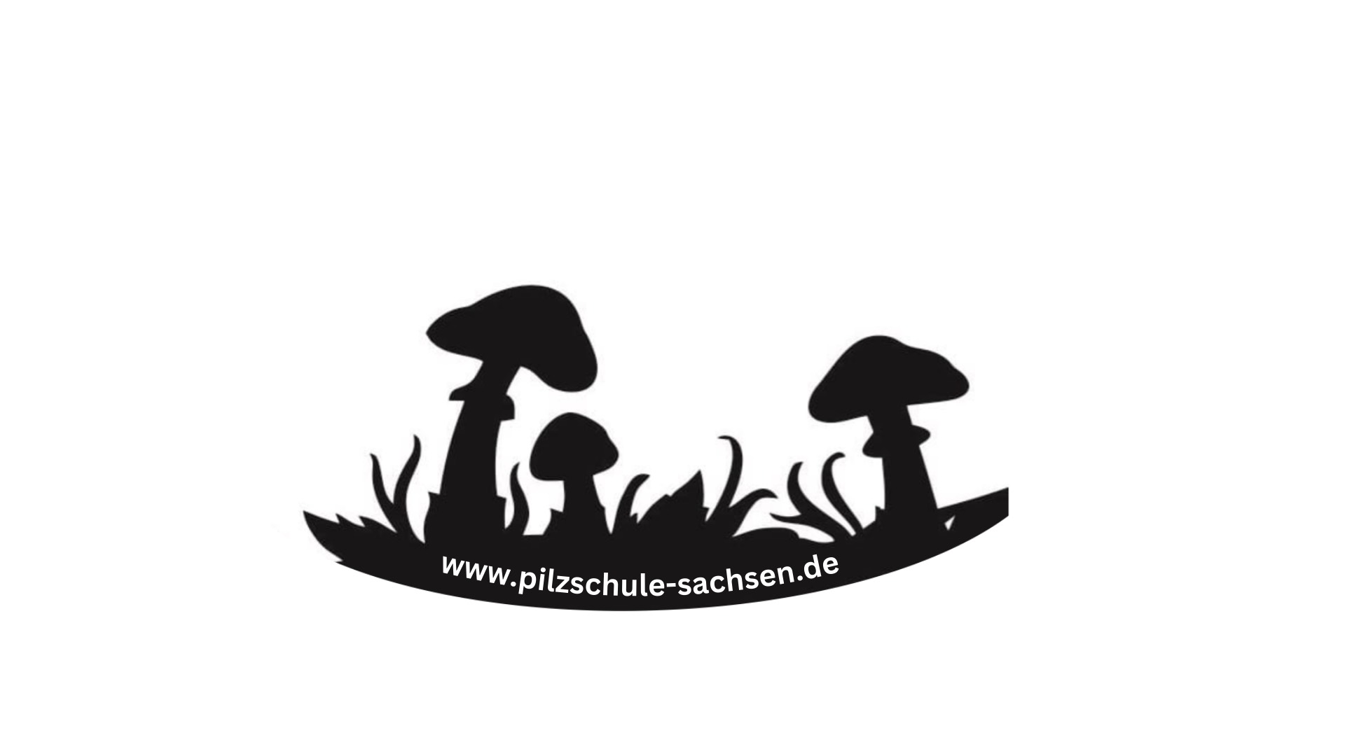 pilzschule-sachsen.de