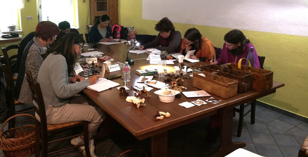 Teilnehmer sitzen im Seminarraum in Crottendorf und arbeiten gemeinsam am Kurstisch