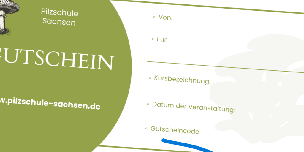 Mustergutschein Pilzschule Sachsen
