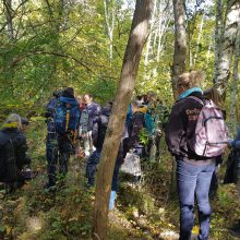Teilnehmende des Wochenkurses B auf Exkursion im Wald zur praktischen Pilzbestimmung.