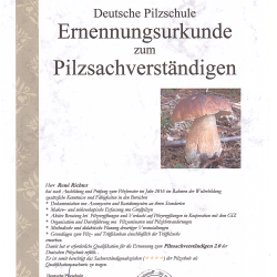 Ernennungsurkunde Pilzsachverständiger René Richter