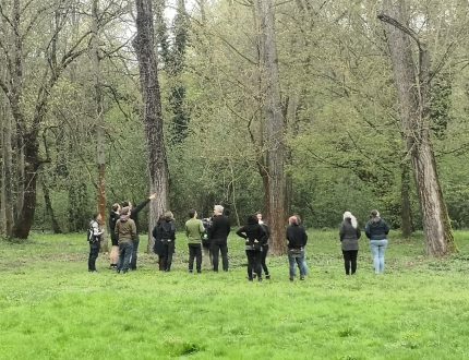 Standortanalyse im Mischwald während des Morchelkurses