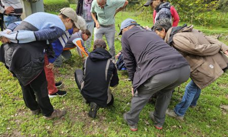Teilnehmende des Pilzkurses bei der Bestimmung von Funden direkt am Standort.
