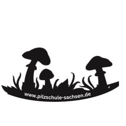 Logo Pilzschule sachsen , 3 schwarze Siluetten von Pilzen dazwischen gras