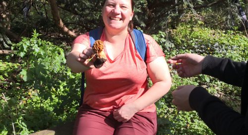 Teilnehmerin des Morchelkurses mit frisch gefundenen Morcheln